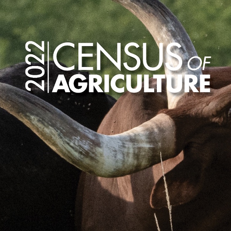 USDA invites producers to respond to 2022 Census of Agriculture